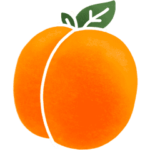 Abricot fruit de saison