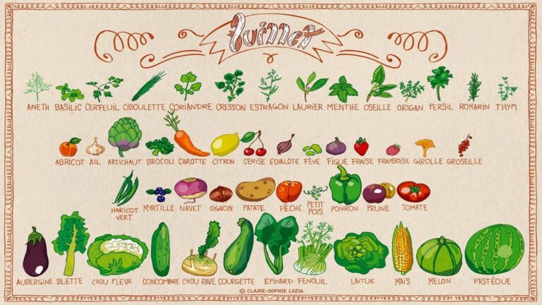 Calendrier des fruits et légumes de saison en juillet