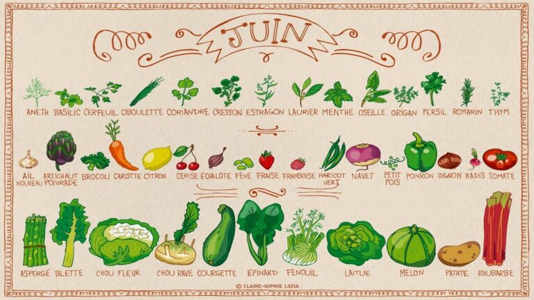 Calendrier des fruits et légumes de saison en juin