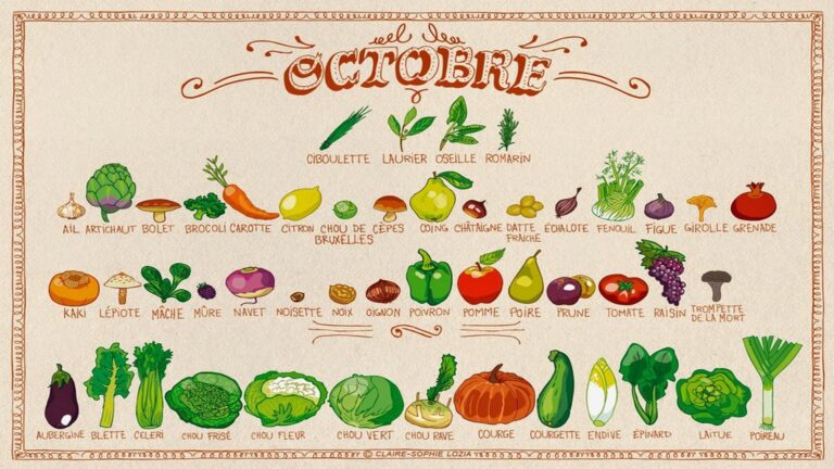 Calendrier des fruits et légumes de saison en octobre