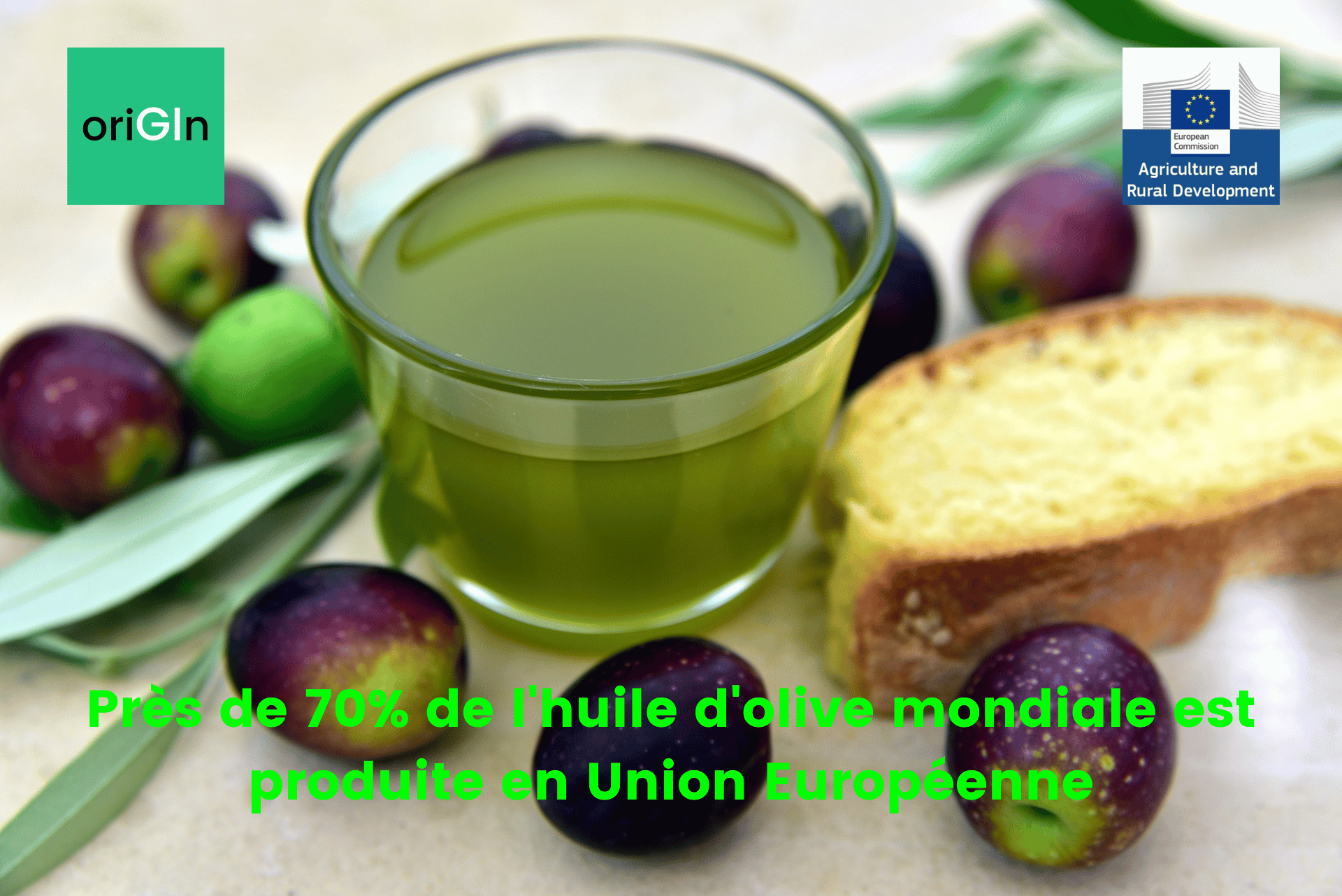 Production d'huiles d'olive en Union Européenne