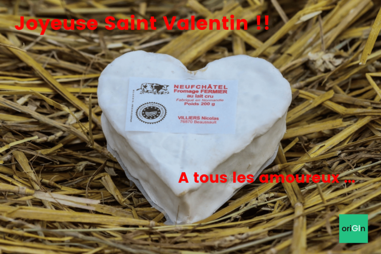 Joyeuse Saint Valentin [oriGIn]