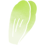 Endive légume de saison