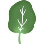 Epinard légume de saison