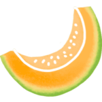 Melon fruit de saison
