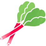 Rhubarbe fruit de saison