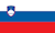 Slovenia flag