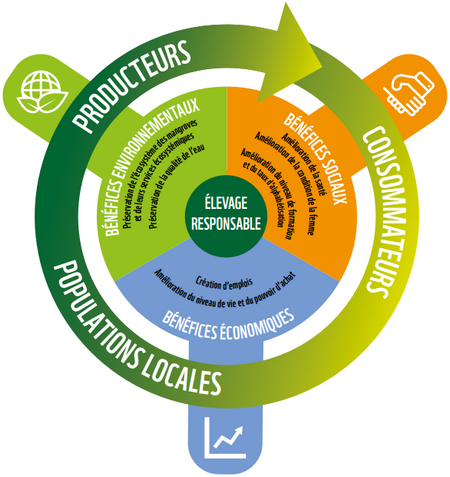 Développement durable de la crevette de Madagascar