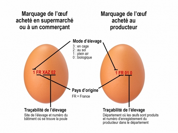 Etiquette de catégories des œufs en France