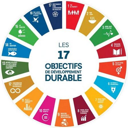 17 objectifs de développement durable de l'ONU