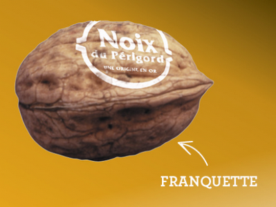 Noix franquette [AOP huile de noix du Périgord]