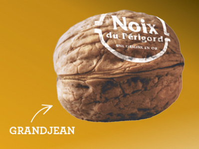 Noix grandjean [AOP huile de noix du Périgord]